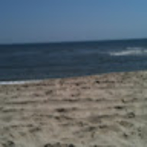 diane_gard